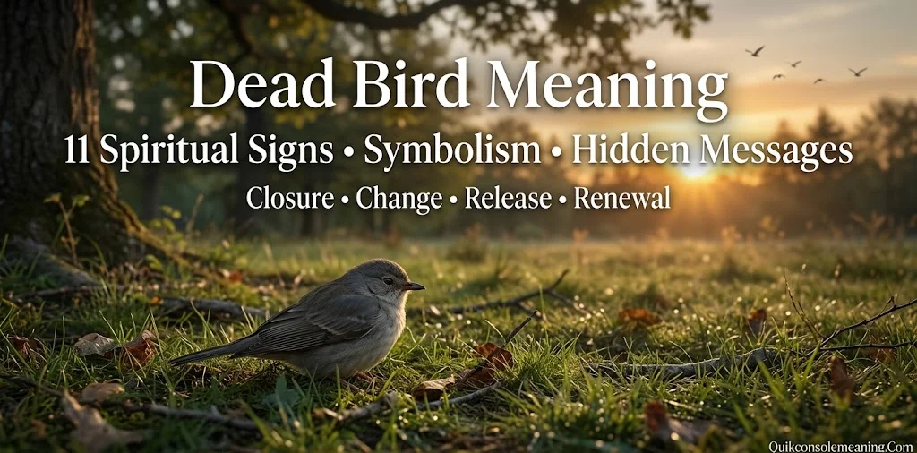 Dead Bird Meaning: 11 Powerful Spiritual Signs, Symbolism & Hidden Messages