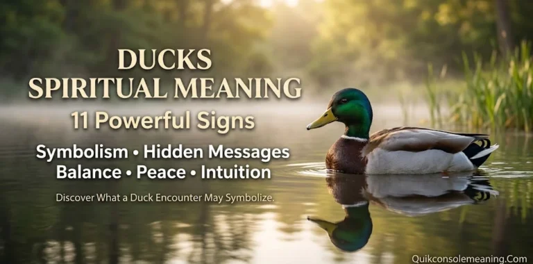 Ducks Spiritual Meaning: 11 Powerful Signs, Symbolism & Hidden Messages