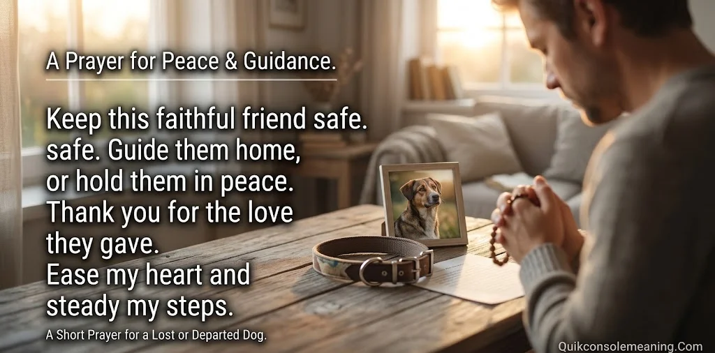 Prayer, Healing & What to Do Next